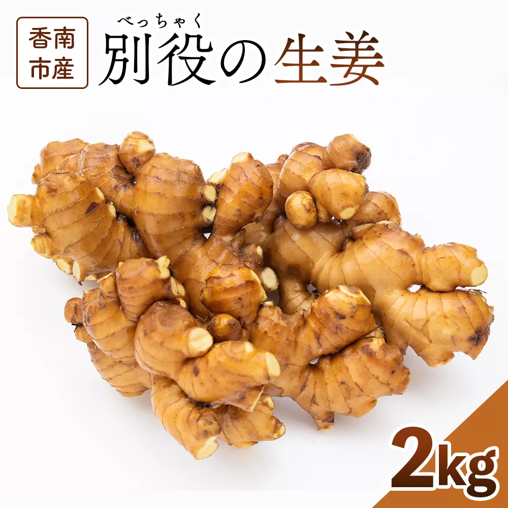 香南市産 別役の生姜 2kg - しょうが ショウガ ジンジャー 薬味 調味料 国産 株式会社べっちゃく 高知県 香南市 bc-0014