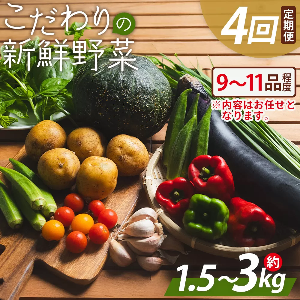こだわりの新鮮野菜 4回定期 - 9~11品程度 お任せ 野菜 やさい 青果 朝採れ 新鮮 旬の野菜 季節の野菜 詰め合わせ セット アルカナファーム 高知県 香南市 冷蔵 Waf-0004