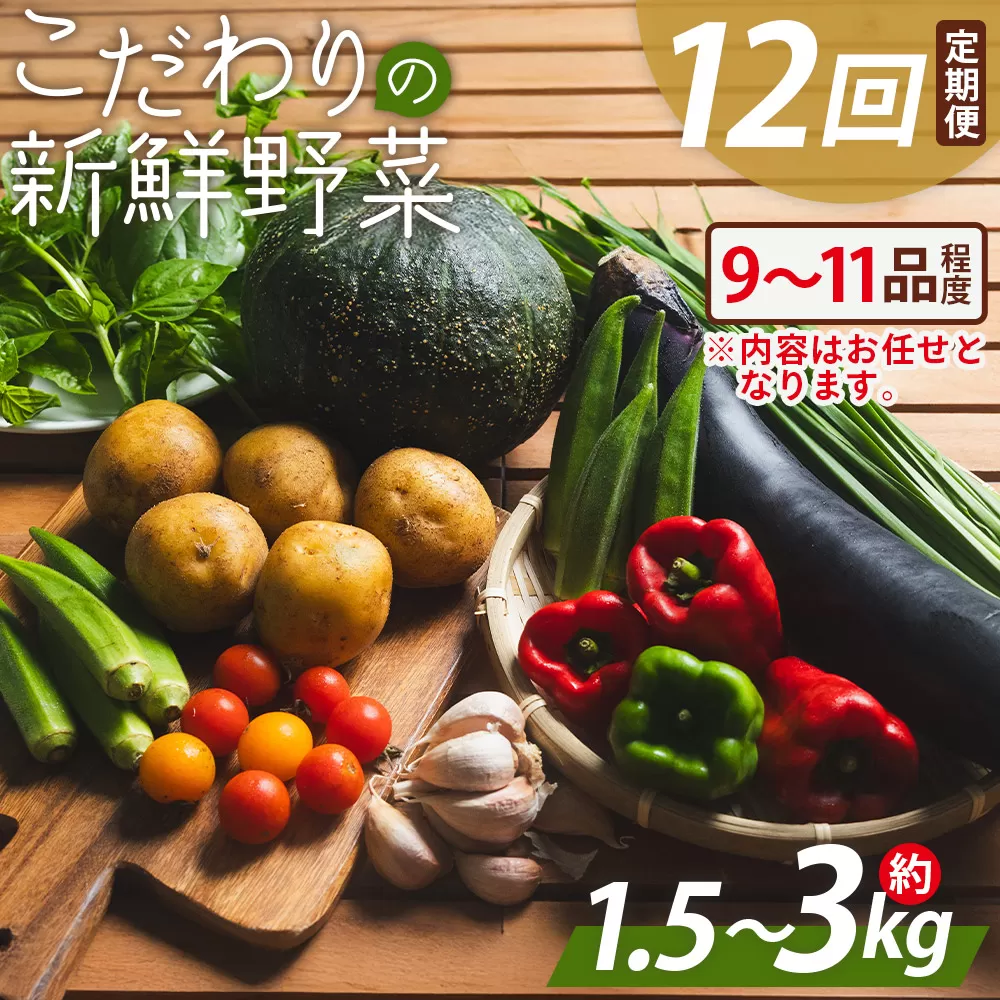 こだわりの新鮮野菜 12回定期 - 9~11品程度 お任せ 野菜 やさい 青果 朝採れ 新鮮 旬の野菜 季節の野菜 詰め合わせ セット アルカナファーム 高知県 香南市 冷蔵 Waf-0006