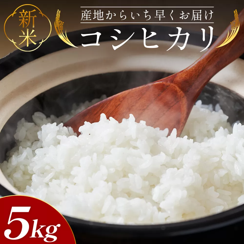 新米 令和8年産 コシヒカリ 5kg - お米 おこめ 国産 米 精米 こしひかり ごはん 白米 ご飯 おにぎり おむすび 料理 調理 防災 非常食 備蓄 高知県 香南市 at-0056