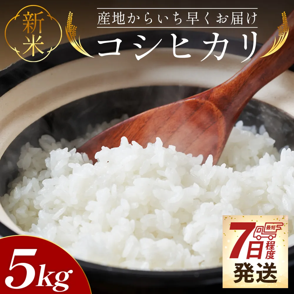 【7日程度で発送】新米 令和8年産 コシヒカリ 5kg - お米 おこめ 国産 米 精米 こしひかり ごはん 白米 ご飯 おにぎり おむすび 料理 調理 防災 非常食 備蓄 高知県 香南市 at-0056
