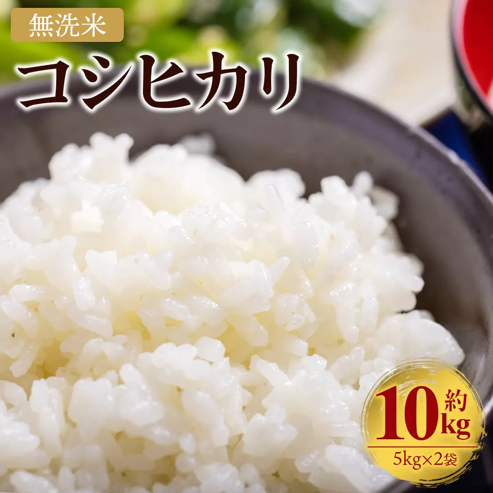 新米 令和7年産 無洗米 コシヒカリ 10kg - お米 白米 精米 cs-0002