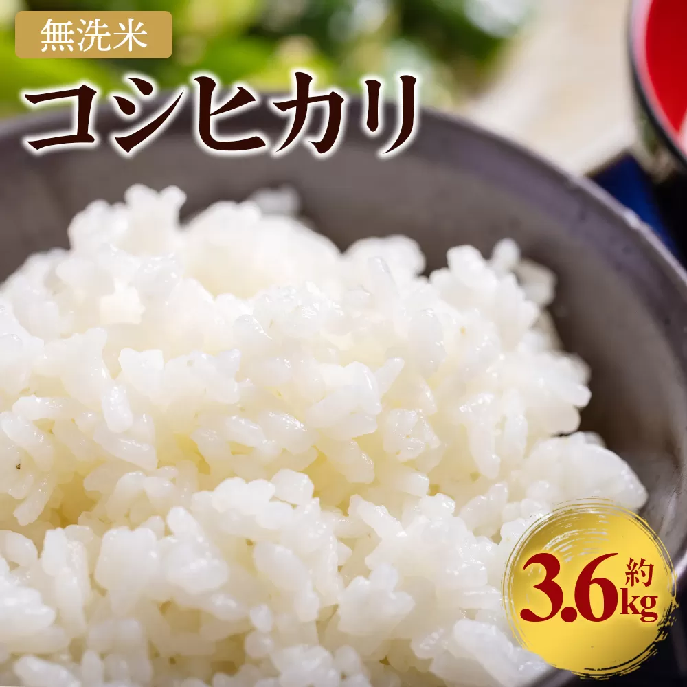 令和7年産 無洗米 コシヒカリ 計約3.6kg -  国産 米 お米 おこめ こしひかり 白米 精米 ごはん おにぎり ご飯 ギフト 贈答 防災 備蓄 高知食糧株式会社 高知県 香南市 常温 cs-0003