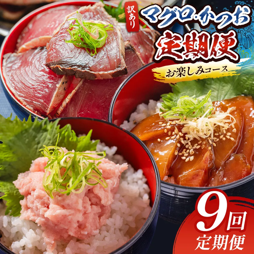 【9回定期便】マグロ かつおお楽しみ定期便 - 訳あり マグロ 鮪 カツオ 鰹 漬けマグロ たたき ネギトロ 配送回数 定期便 小分け 海鮮 魚介 冷凍食品 加工品 海鮮丼 刺身 株式会社大熊 高知県 香南市 冷凍 Wda-0053