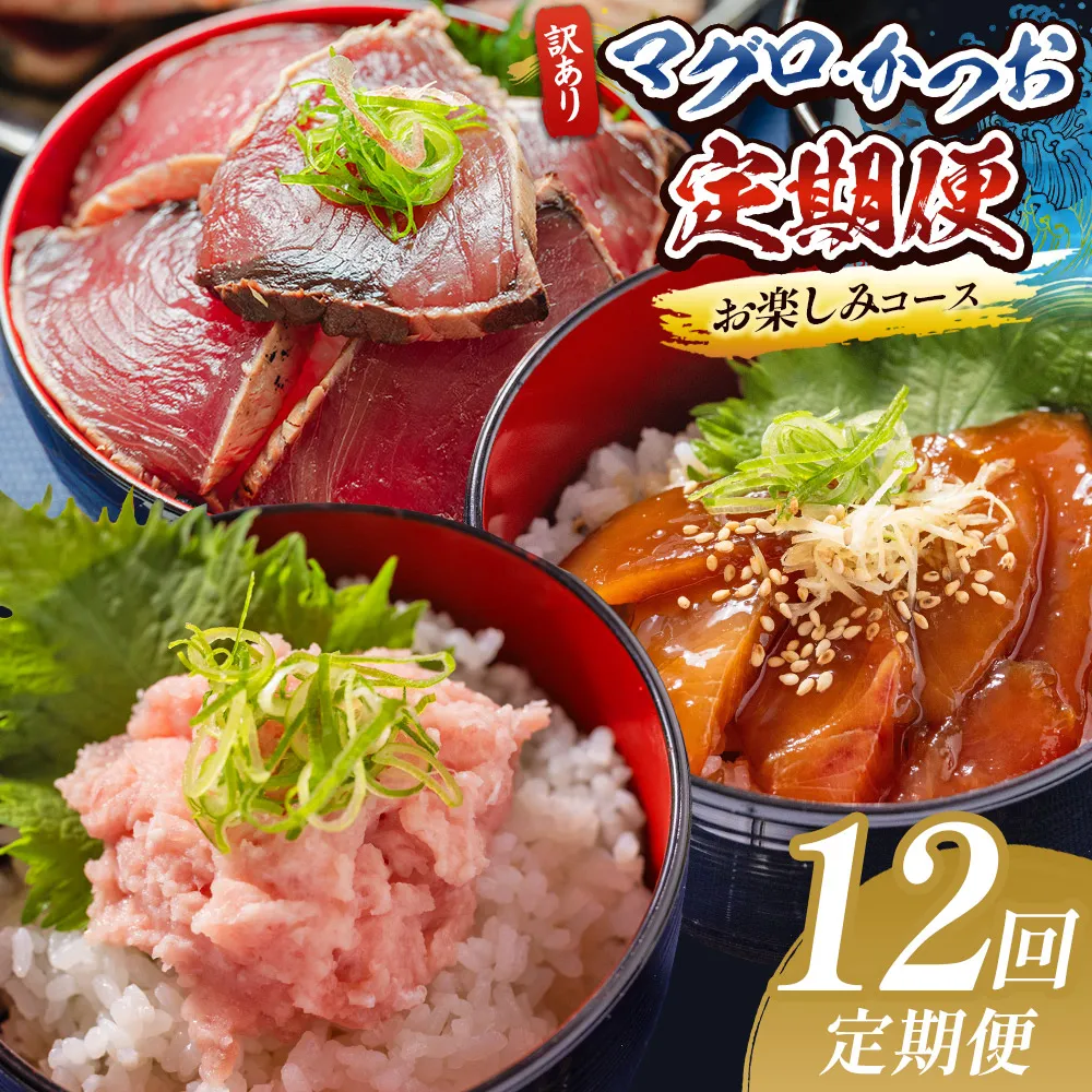 【12回定期便】マグロ かつおお楽しみ定期便 - 訳あり マグロ 鮪 カツオ 鰹 漬けマグロ たたき ネギトロ 配送回数 定期便 小分け 海鮮 魚介 冷凍食品 加工品 海鮮丼 刺身 株式会社大熊 高知県 香南市 冷凍 Wda-0054