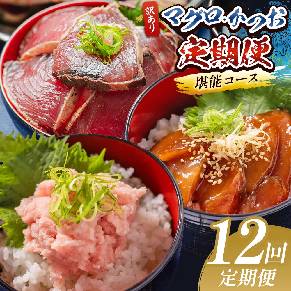 【12回定期便】マグロ かつお堪能定期便 - 訳あり マグロ 鮪 カツオ 鰹 漬けマグロ たたき ネギトロ 配送回数 定期便 小分け 海鮮 魚介 冷凍食品 加工品 海鮮丼 刺身 株式会社大熊 高知県 香南市 冷凍 Wda-0058