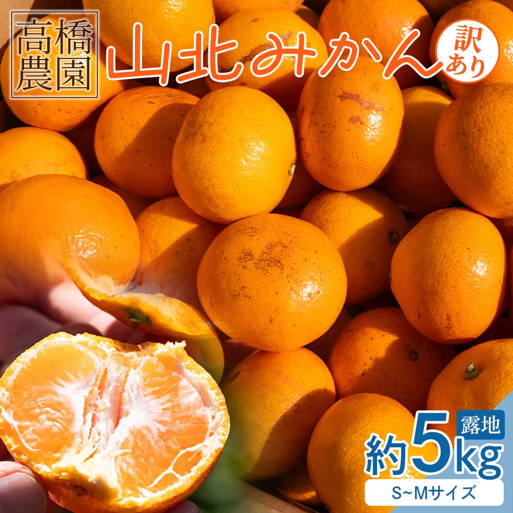 [2026年11月中旬より順次配送]山北みかん(露地・S〜Mサイズ)約5kg 家庭用 - 小傷あり 送料無料 露地栽培 柑橘 果物 フルーツ ミカン 蜜柑 期間限定 季節限定 家庭用 国産 特産品 高橋農園 高知県 香南市 th-0025