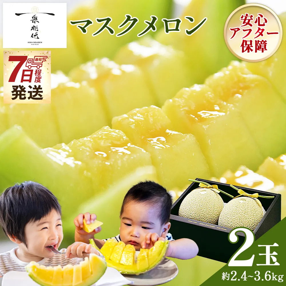 【7日程度で発送】一果相伝マスクメロン 2玉入り - 最短配送 送料無料 めろん 青肉 果物 くだもの フルーツ 贈答用 贈答品 贈り物 ギフト 産地直送 篤農 高知県 香南市 常温 tn-0065