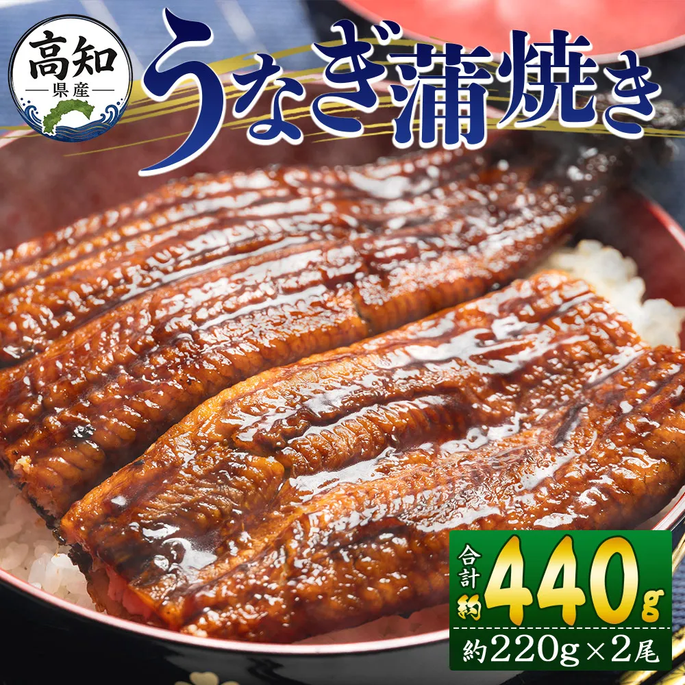 国産養殖うなぎ蒲焼き 2尾（合計約440g）高知県産鰻 - 鰻 ウナギ かばやき 蒲焼 土用の丑の日 スタミナ 夕飯 有頭 約220g おかず おつまみ うな丼 うな重 丼ぶり 丼物 さかな 肴 夕飯 夕食 朝食 お酒 グルメ 美味しい おいしい タレ付き たれ おいしい 美味しい ひつまぶし 丼ぶり 贅沢 ぜいたく お取り寄せ おとりよせ パック お祝い 内祝い 御礼 お礼 お歳暮 うなぎ大好き お礼 御礼 挨拶 あいさつ 贈り物 送料無料 高知県 香南市 冷凍 fb-0140