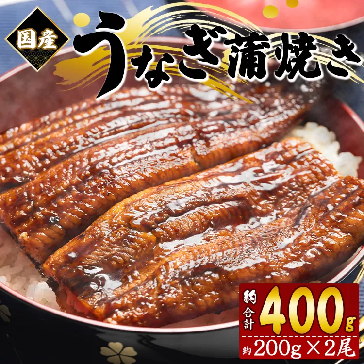 愛知県産 養殖うなぎ蒲焼き 2尾（合計約400g）- 鰻 ウナギ かばやき 蒲焼 土用の丑の日 スタミナ ご飯のお供 夕飯 有頭 おつまみ うな丼 うな重 送料無料 パック ご飯 ごはん おこわ ひつまぶし 混ぜるだけ 一品 真空 二尾 タレ付き たれ お歳暮 お中元 御中元 お礼 御礼 感謝 記念日 お返し 贅沢 ぜいたく 高級 ご褒美 ごほうび 美味しい おいしい 食べ物 夏季 お取り寄せ グルメ 特産品 フジ物産 高知県 香南市 冷凍 fb-0138