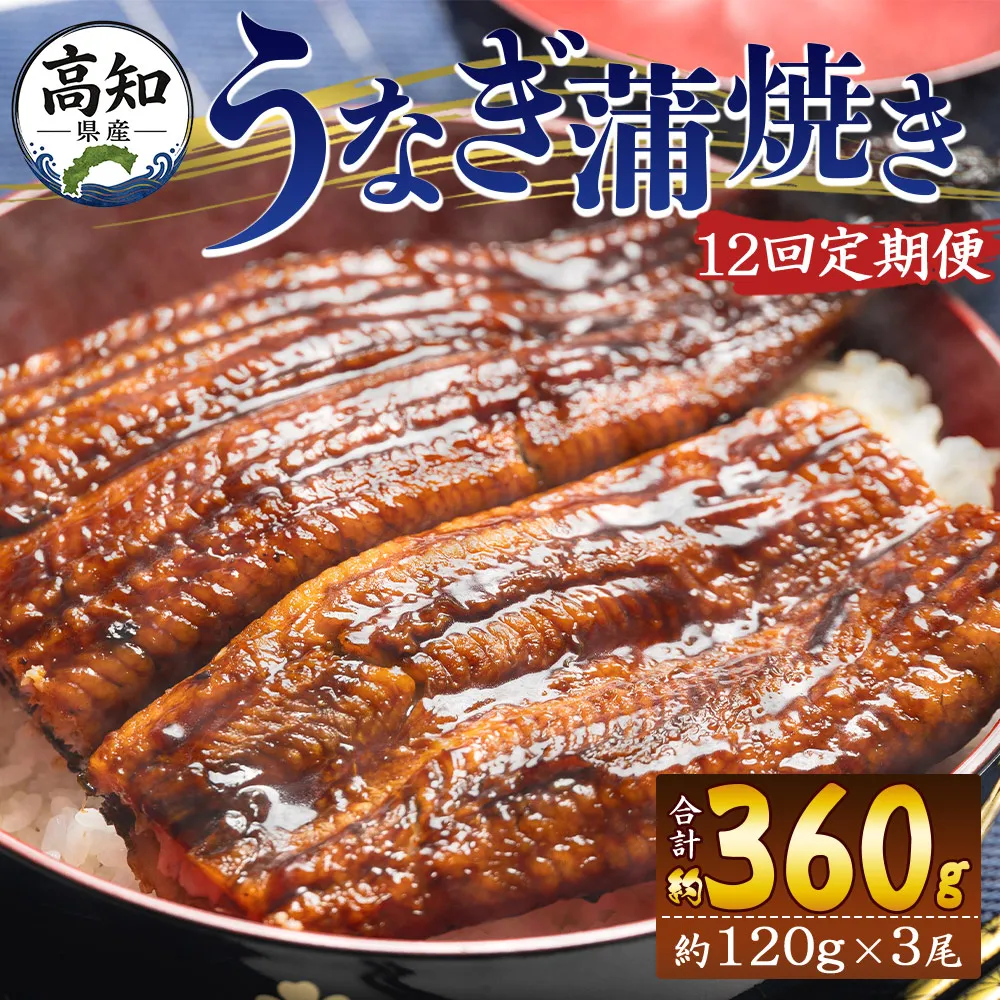 【12回定期便】高知県産養殖うなぎ蒲焼き 100〜120g 3尾 うなぎ 魚介 国産 海鮮 魚 かばやき 鰻 ウナギ 惣菜 おかず お手軽 加工品 加工食品 冷凍 Wfb-0044