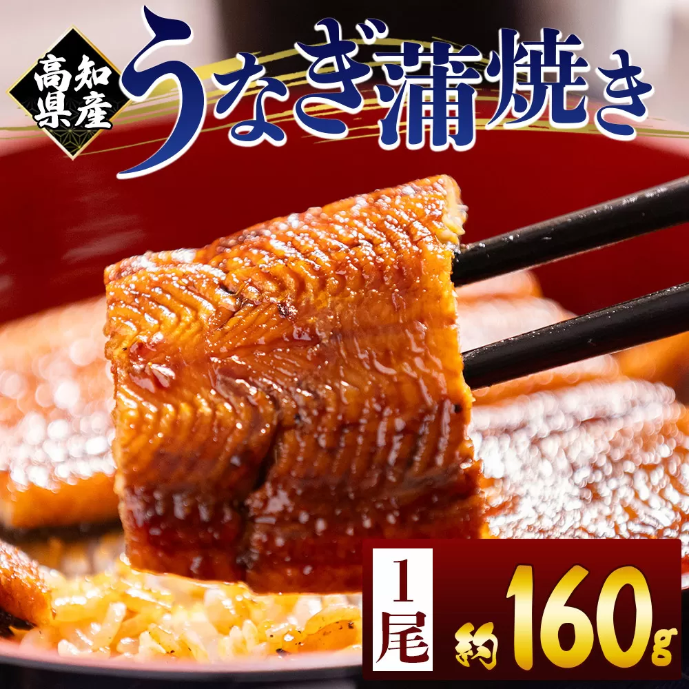 高知県産蒲焼きうなぎ 160g 1尾 - 国産 鰻 ウナギ 養殖 かばやき タレ付き たれ おつまみ スタミナ 土用の丑の日 うな丼 うな重 丼ぶり 一品 おかず 香南市 冷凍 fb-0151