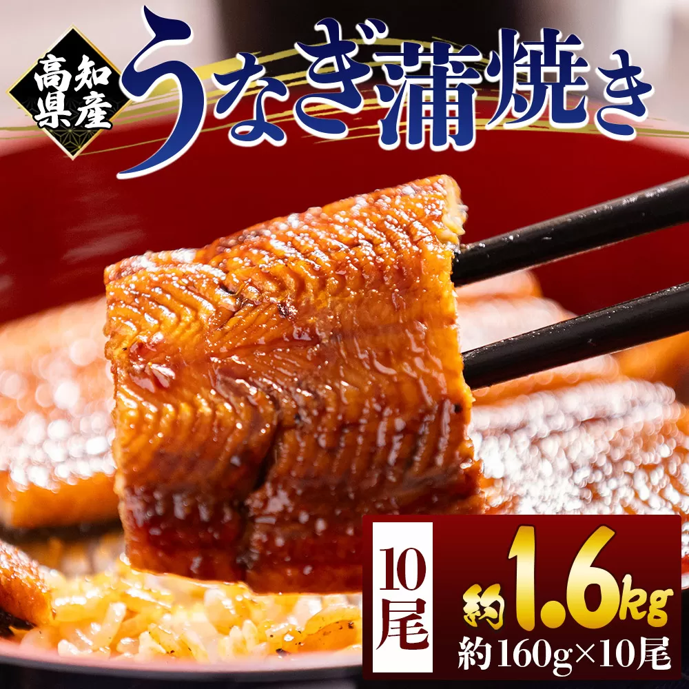 高知県産蒲焼きうなぎ 160g 10尾 計1600g - 国産 鰻 ウナギ 養殖 かばやき タレ付き たれ おつまみ スタミナ 土用の丑の日 うな丼 うな重 丼ぶり 一品 おかず 香南市 冷凍 fb-0158