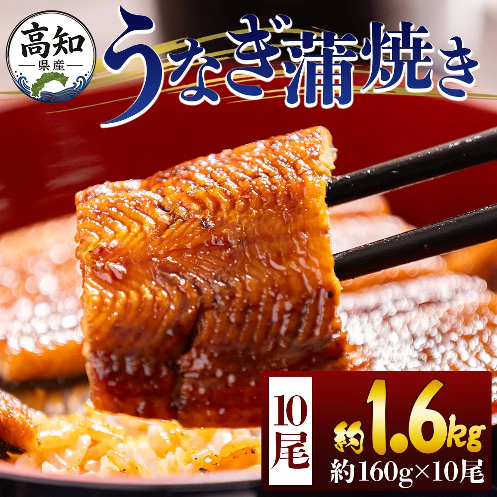 高知県産蒲焼きうなぎ 160g 10尾 計1600g - 国産 鰻 ウナギ 養殖 かばやき タレ付き たれ おつまみ スタミナ 土用の丑の日 うな丼 うな重 丼ぶり 一品 おかず 香南市 冷凍 fb-0158