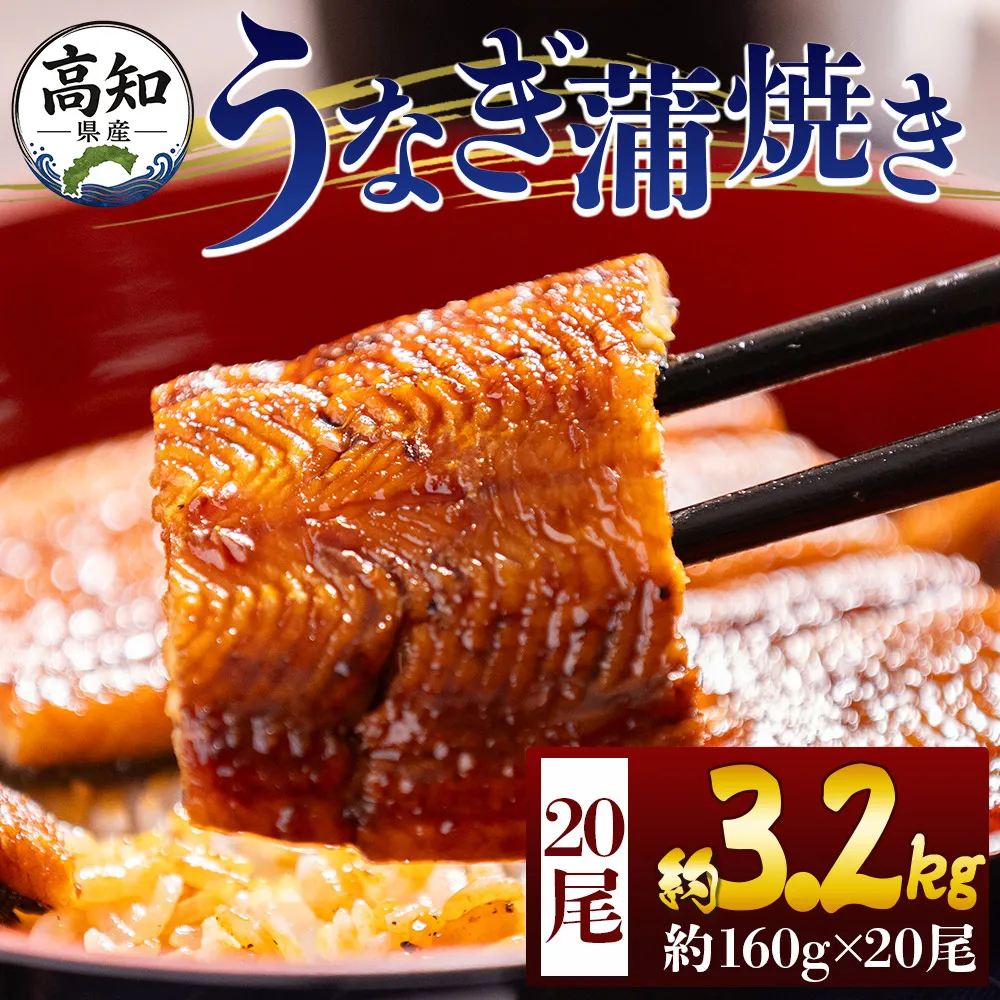 高知県産蒲焼きうなぎ 160g 20尾 計3200g - 国産 鰻 ウナギ 養殖 かばやき タレ付き たれ おつまみ スタミナ 土用の丑の日 うな丼 うな重 丼ぶり 一品 おかず 香南市 冷凍 fb-0185