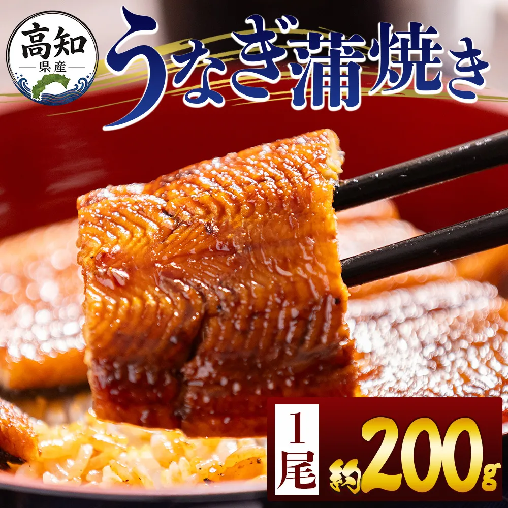 高知県産蒲焼きうなぎ 200g 1尾 - 国産 鰻 ウナギ 養殖 かばやき タレ付き たれ おつまみ スタミナ 土用の丑の日 うな丼 うな重 丼ぶり 一品 おかず 香南市 冷凍 fb-0159