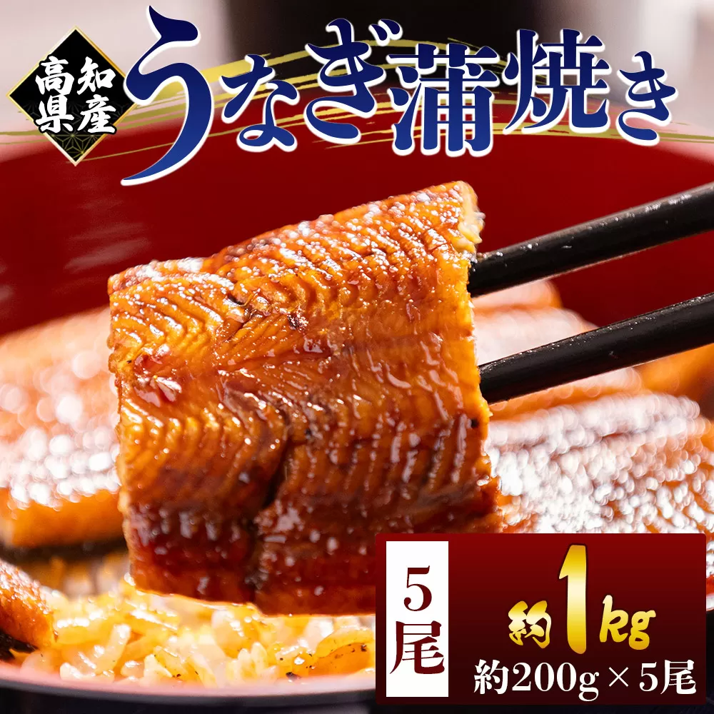 高知県産蒲焼きうなぎ 200g 5尾 計1000g - 国産 鰻 ウナギ 養殖 かばやき タレ付き たれ おつまみ スタミナ 土用の丑の日 うな丼 うな重 丼ぶり 一品 おかず 香南市 冷凍 fb-0162