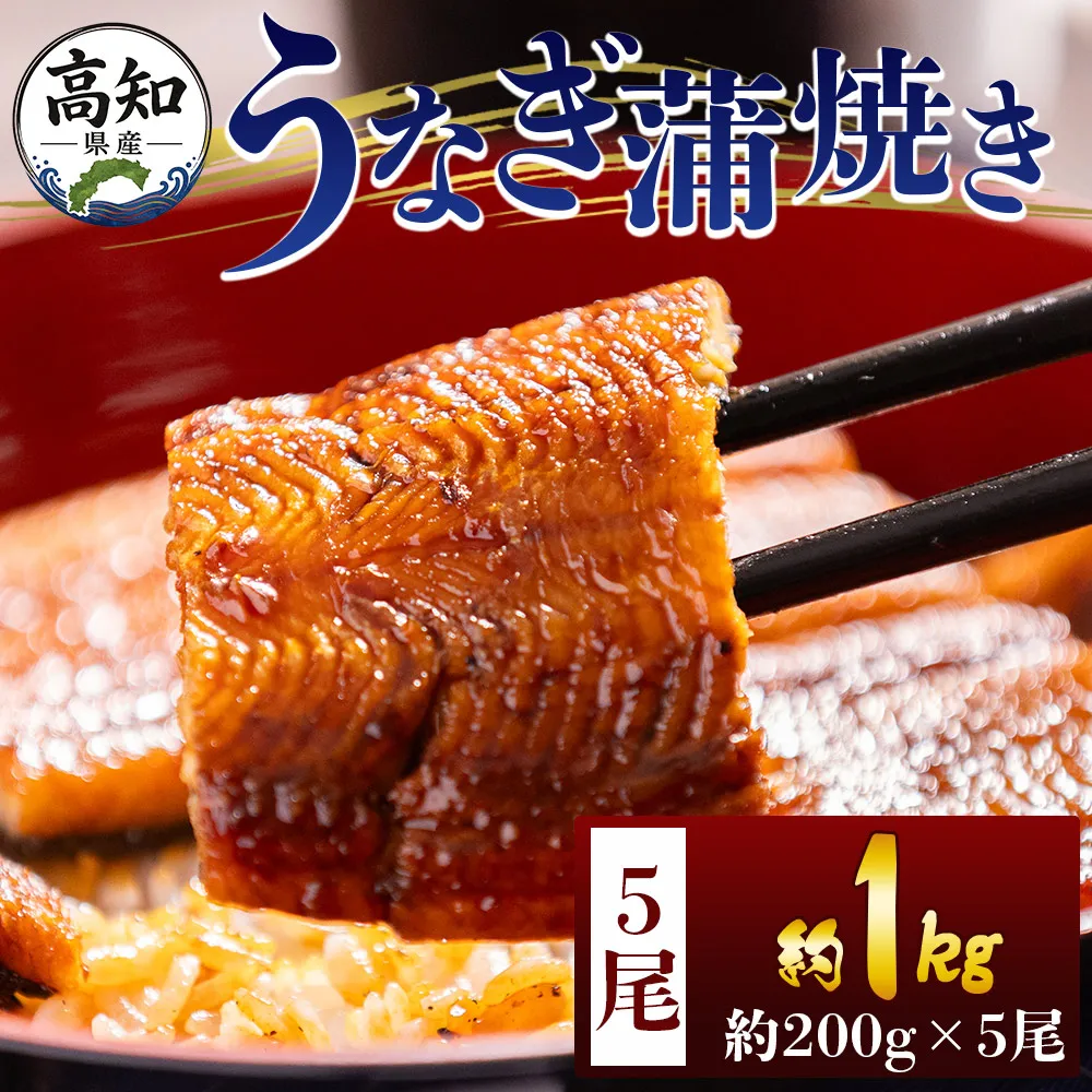 高知県産蒲焼きうなぎ 200g 5尾 計1000g - 国産 鰻 ウナギ 養殖 かばやき タレ付き たれ おつまみ スタミナ 土用の丑の日 うな丼 うな重 丼ぶり 一品 おかず 香南市 冷凍 fb-0162