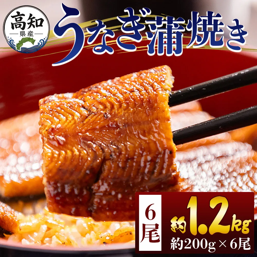 高知県産蒲焼きうなぎ 200g 6尾 計1200g - 国産 鰻 ウナギ 養殖 かばやき タレ付き たれ おつまみ スタミナ 土用の丑の日 うな丼 うな重 丼ぶり 一品 おかず 香南市 冷凍 fb-0163