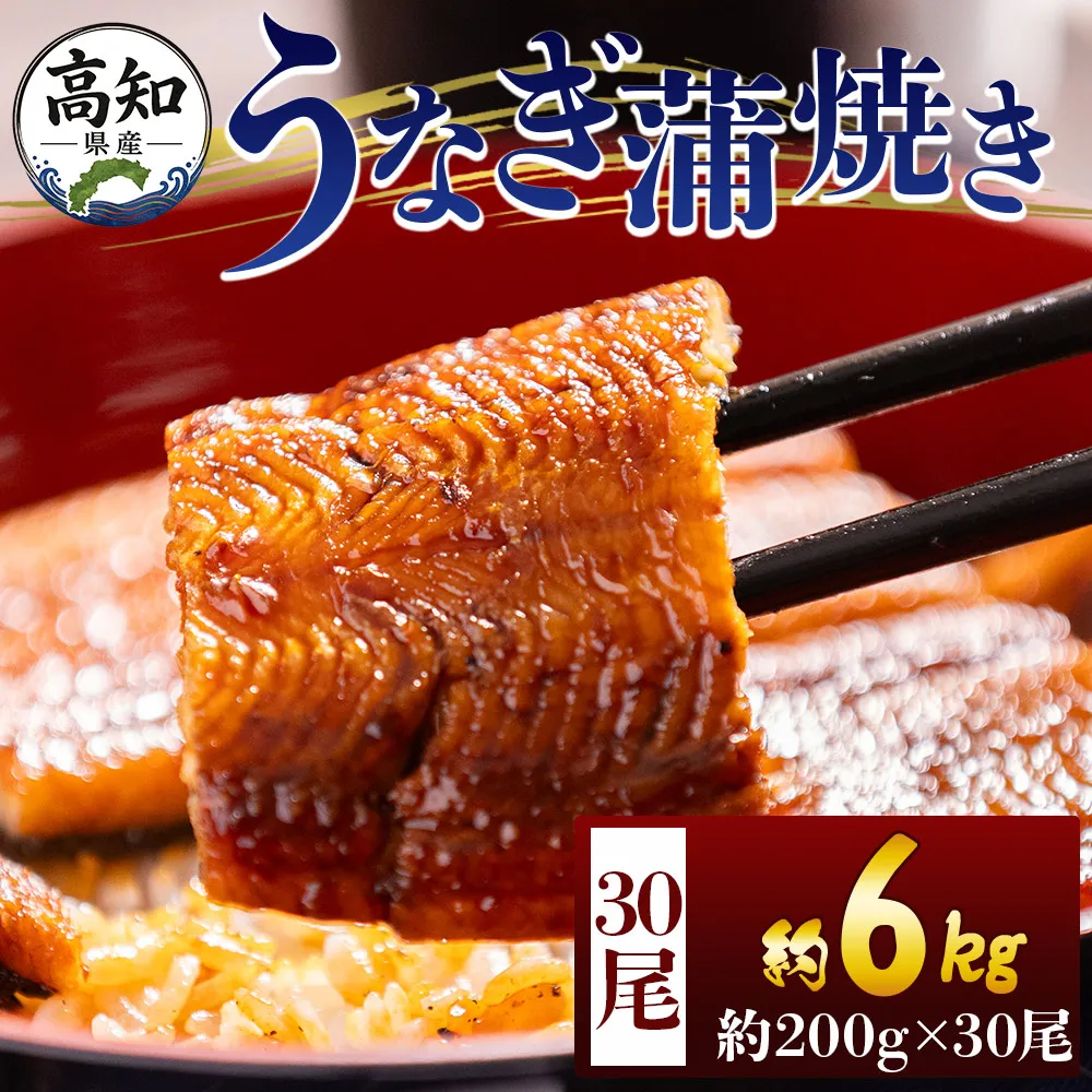 高知県産蒲焼きうなぎ 200g 30尾 計6000g - 国産 鰻 ウナギ 養殖 かばやき タレ付き たれ おつまみ スタミナ 土用の丑の日 うな丼 うな重 丼ぶり 一品 おかず 香南市 冷凍 fb-0189