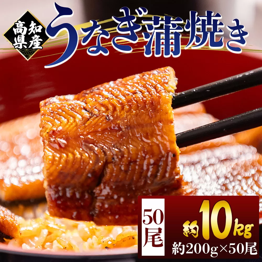 高知県産蒲焼きうなぎ 200g 50尾 計10000g - 国産 鰻 ウナギ 養殖 かばやき タレ付き たれ おつまみ スタミナ 土用の丑の日 うな丼 うな重 丼ぶり 一品 おかず 香南市 冷凍 fb-0190