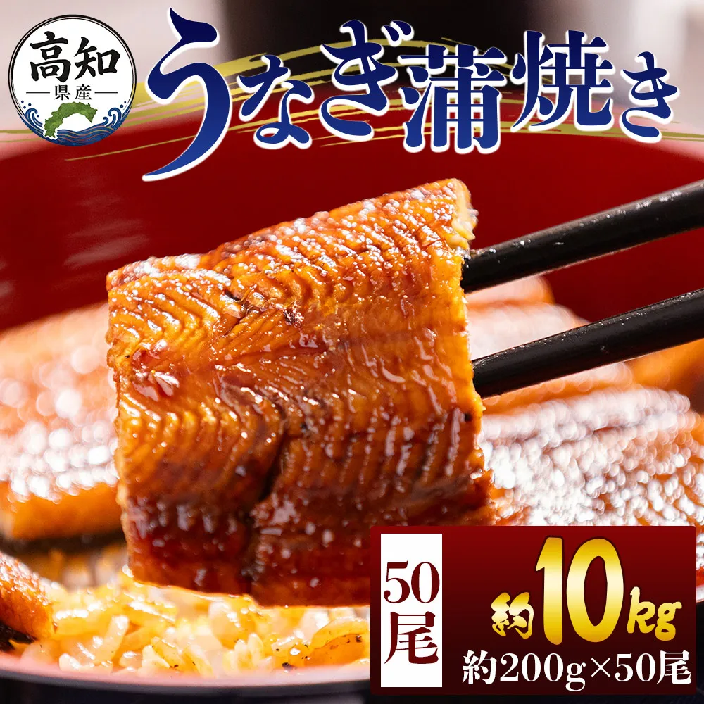 高知県産蒲焼きうなぎ 200g 50尾 計10000g - 国産 鰻 ウナギ 養殖 かばやき タレ付き たれ おつまみ スタミナ 土用の丑の日 うな丼 うな重 丼ぶり 一品 おかず 香南市 冷凍 fb-0190