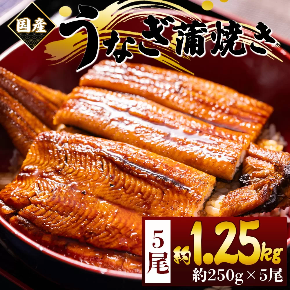 国産蒲焼きうなぎ 250g 5尾 計1250g - 国産 鰻 ウナギ 養殖 かばやき タレ付き たれ おつまみ スタミナ 土用の丑の日 うな丼 うな重 丼ぶり 一品 おかず 香南市 冷凍 fb-0170
