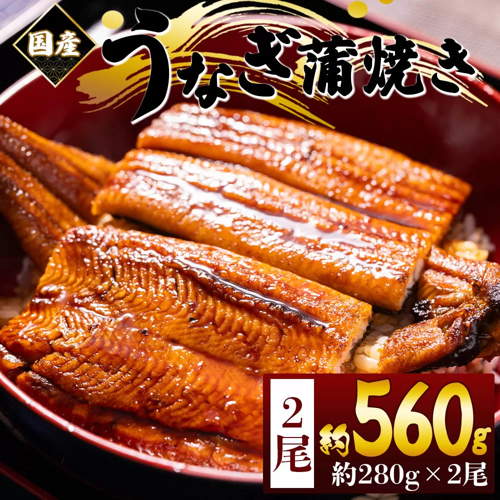国産蒲焼きうなぎ 280g 2尾 計560g - 国産 鰻 ウナギ 養殖 かばやき タレ付き たれ おつまみ スタミナ 土用の丑の日 うな丼 うな重 丼ぶり 一品 おかず 香南市 冷凍 fb-0175