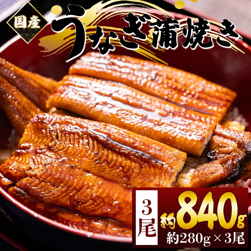国産蒲焼きうなぎ 280g 3尾 計840g - 国産 鰻 ウナギ 養殖 かばやき タレ付き たれ おつまみ スタミナ 土用の丑の日 うな丼 うな重 丼ぶり 一品 おかず 香南市 冷凍 fb-0176