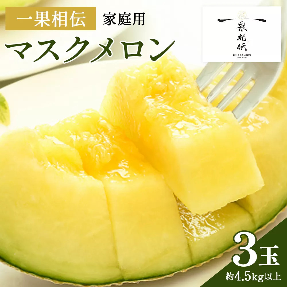 一果相伝マスクメロン家庭用 3玉入り - 果物 くだもの フルーツ めろん 青肉 デザート スイーツ ご自宅用 ジューシー 果汁 芳醇 幸せ 至福 美味しい 甘い あまい 篤農 産地直送 高知県 香南市 常温 tn-0029