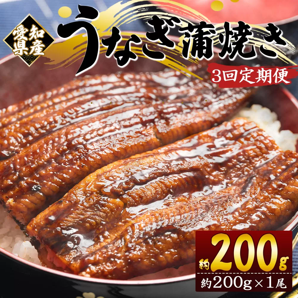 【３回定期便】国産養殖うなぎ蒲焼き 約200g×1尾(愛知県産鰻) うなぎ 魚介 国産 海鮮 魚 かばやき 鰻 ウナギ 惣菜 おかず お手軽 加工品 加工食品 冷凍 Wfb-0070
