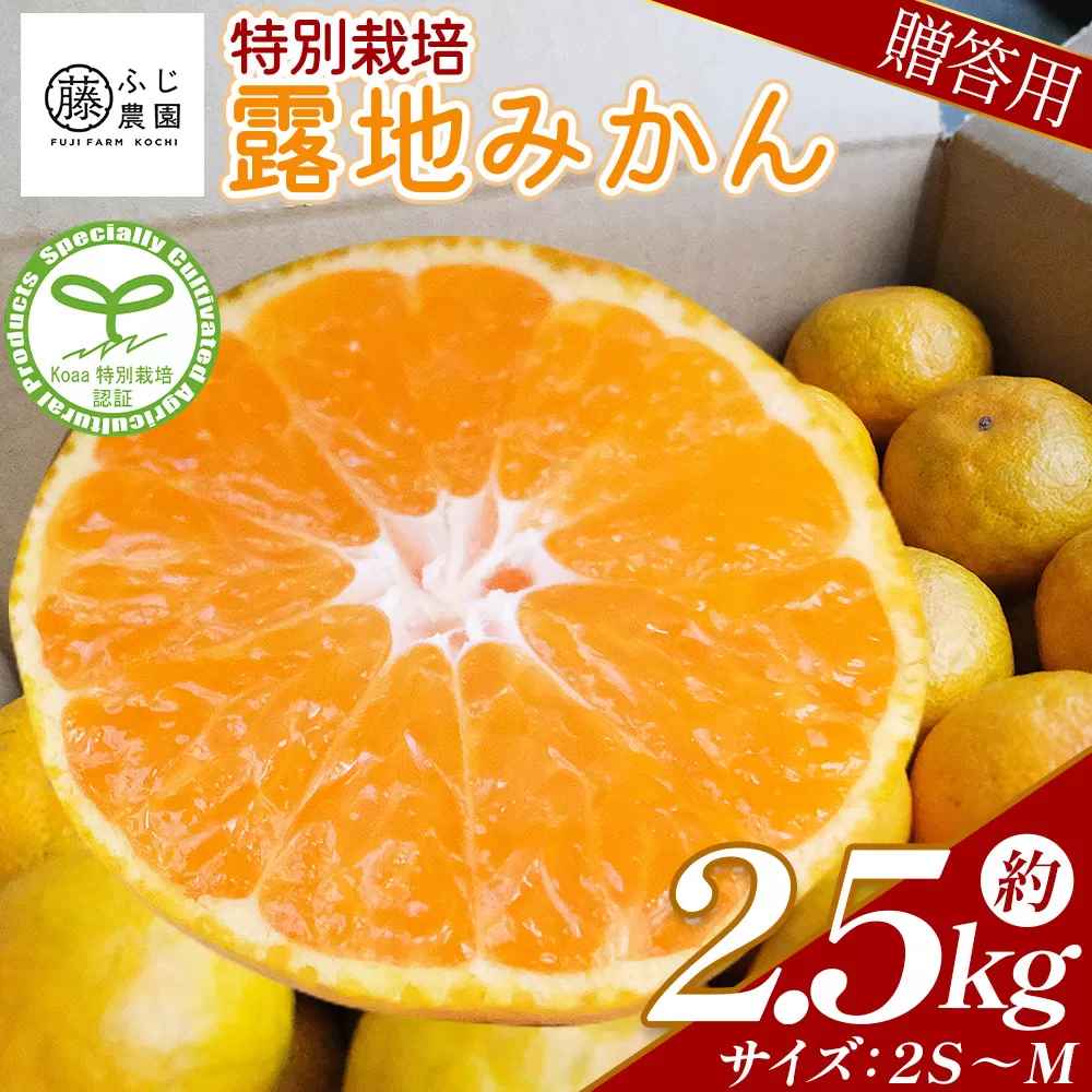 ふじ農園の露地みかん 贈答用 2.5kg (2S〜M) - 国産 蜜柑 ミカン 柑橘 果物 フルーツ 贈答 プレゼント ギフト 贈り物 ふじ農園 高知県 香南市 常温 fn-0001