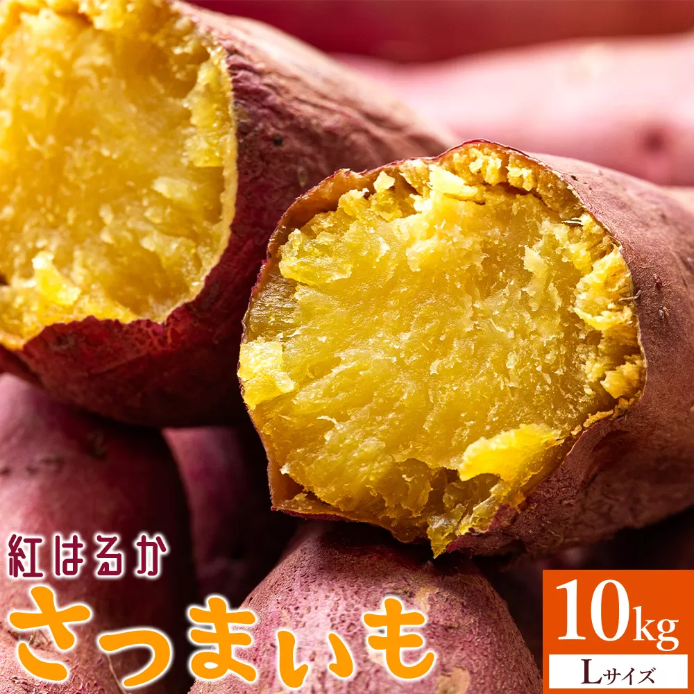 さつまいも(紅はるか) Lサイズ 10kg - サツマイモ さつま芋 野菜 焼き芋 やきいも 焼いも 蒸し芋 おやつ スイーツ スイートポテト 国産 アスタ農園 高知県 香南市【常温 at-0012