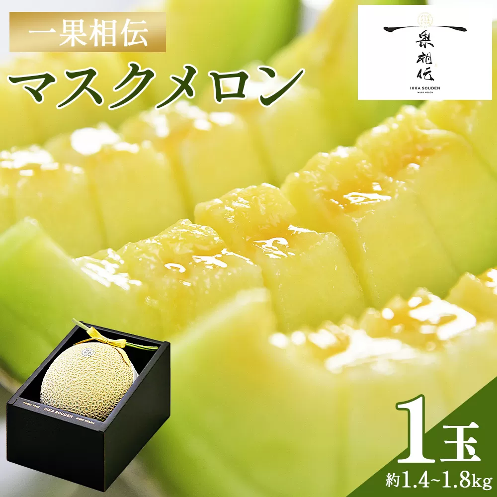 【14日程度で発送】【期間限定】一果相伝 マスクメロン 1玉入り - 送料無料 めろん 青肉 果物 くだもの フルーツ 贈答用 贈答品 贈り物 ギフト お祝い 御祝い 感謝 熨斗 のし対応可 産地直送 新鮮 篤農 高級 贅沢 ぜいたく ご褒美 ごほうび おいしい 美味しい 甘い あまい フレッシュ ジューシー 果汁 果肉 果実 スイーツ デザート 特別 プレゼント おとりよせ お取り寄せ グルメ 大きい 記念日 誕生日 お中元 お歳暮 箱入り とくのう 高知県 香南市 常温 tn-0010