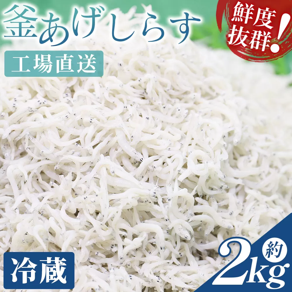 【冷蔵】釜あげしらす(ちりめん) 約2kg - 国産 ちりめん しらす シラス 稚魚 魚介 魚 海産物 天日干し 釜茹で ドロメ サラダ 和え物 アレンジ 料理 ご飯のお供 三浦屋海産 高知県 香南市 冷蔵 mu-0017