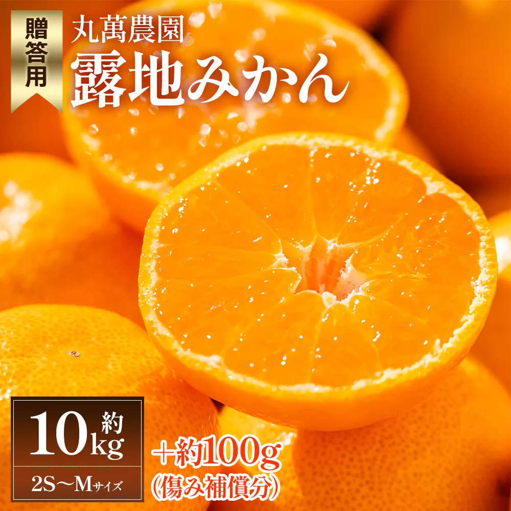 【2025年出荷分】露地みかん(2S～Mサイズ) 10kg 贈答用 丸萬農園 - 果物 くだもの フルーツ 果実 柑橘 かんきつ 蜜柑 みかん ミカン 期間限定 ギフト 贈り物 プレゼント お祝い 感謝 お礼 高知県 香南市 常温 mn-0002