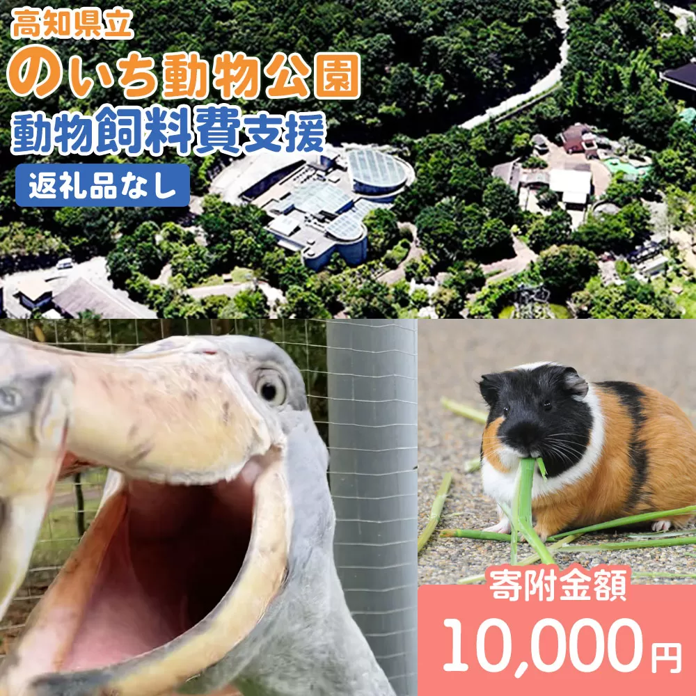 高知県立のいち動物公園 動物支援(飼料費支援) 返礼品なし 10,000円 ni-0006-施設 動物園 飼育 えさ 餌 ごはん アニマル 支援寄附のみの応援受付 寄付のみ 高知県 香南市 Rni-0012