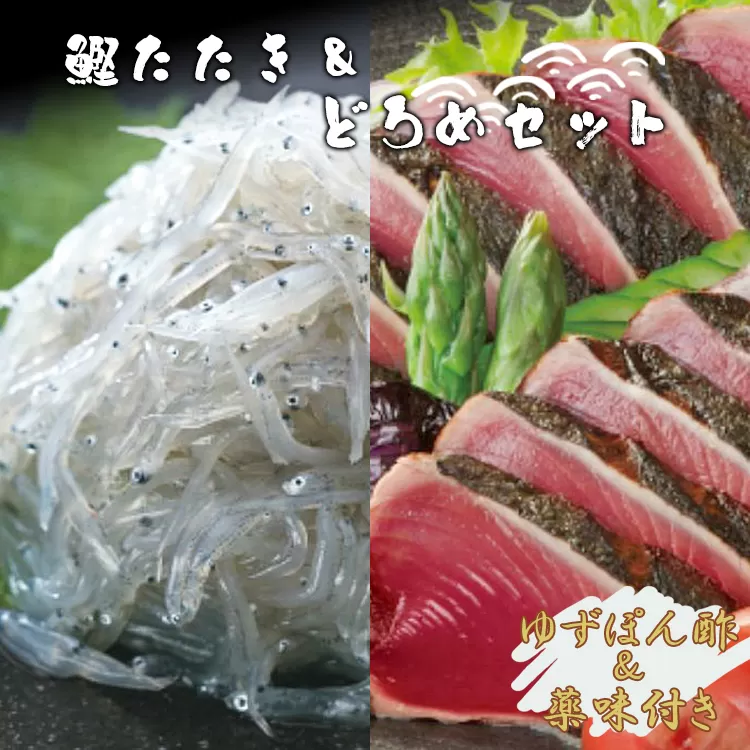 土佐料理司 鰹たたき・どろめセット - 送料無料 魚 さかな カツオ かつお おかず 晩酌 のお供 おさけ お酒に合う おつまみ タタキ いわし イワシ 小魚 稚魚 ポン酢 ぽん酢 食べきりサイズ のし不可 美味しい おいしい 肴 プチ ギフト 贈り物 贈答 御礼 お礼 内祝い お祝い 特産品 お取り寄せ おとりよせ グルメ セット 詰め合わせ 詰合せ 夕飯 夕食 国産 老舗 土佐料理  高知県 香南市 冷凍 tr-0015