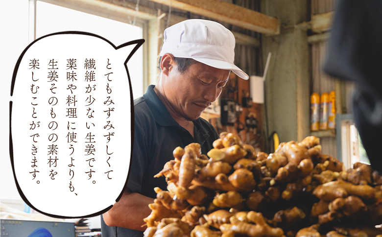 香南市産 別役の生姜 20kg - しょうが ショウガ ジンジャー 薬味