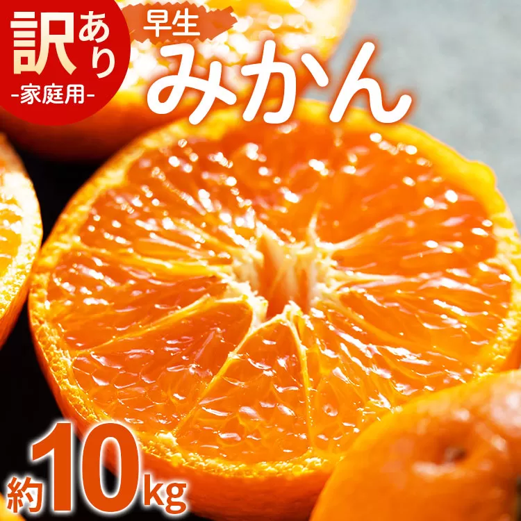 [数量限定]家庭用 訳あり 早生みかん 約10kg - 送料無料 フルーツ くだもの 果物 わせ 訳アリ 温州みかん ミカン 柑橘 甘い おいしい ご自宅用 旬 季節限定 かなや農園 合同会社Benifare 国産 特産品 10キロ 柑橘類 柑橘 系 オレンジ うんしゅう みずみずしい フレッシュ ジューシー 果汁 さわやか 爽やか わせ 早生 おとりよせ お取り寄せ 皮 傷 キズ 箱 ジャム ジュース マーマレード 酸味 糖度 おいしい 美味しい やみつき 濃厚 のうこう 高知県 香南市