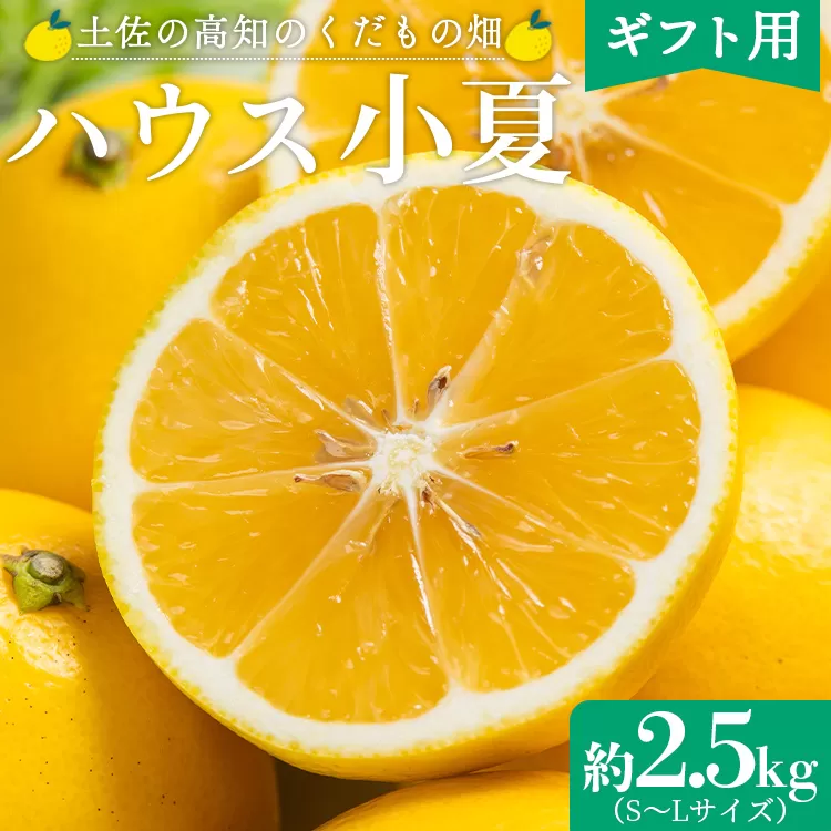 [2026年出荷分 先行予約]ハウス小夏 約2.5kg(ギフト用)- 日向夏 ニューサマーオレンジ 柑橘 果物 くだもの フルーツ こなつ おいしい 国産 贈答用 お礼 御礼 感謝 果汁 甘い 瑞々しい みずみずしい フレッシュ 爽やか さわやか 国産 送料無料 土佐の高知のくだもの畑 高知県 香南市 kd-0031