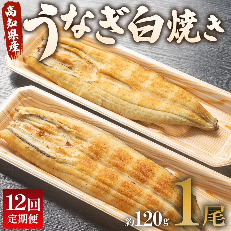 うなぎ 定期便 12回 うなぎ白焼き120g 1尾(無頭) 魚介 国産 海鮮 魚 かばやき 鰻 ウナギ 惣菜 おかず お手軽 加工品 加工食品 冷凍 Wun-0034