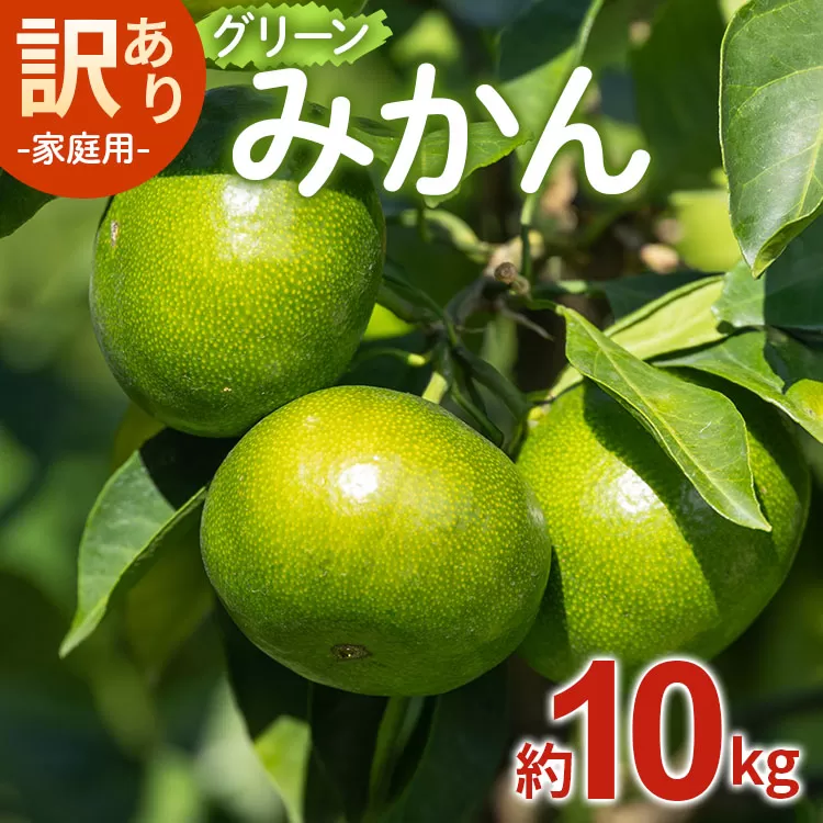 家庭用 訳あり グリーンみかん 約10kg -送料無料 フルーツ 果物 ミカン 柑橘 ご自宅用 旬 季節 かなや農園 合同会社Benifare 国産 特産品 高知県 香南市