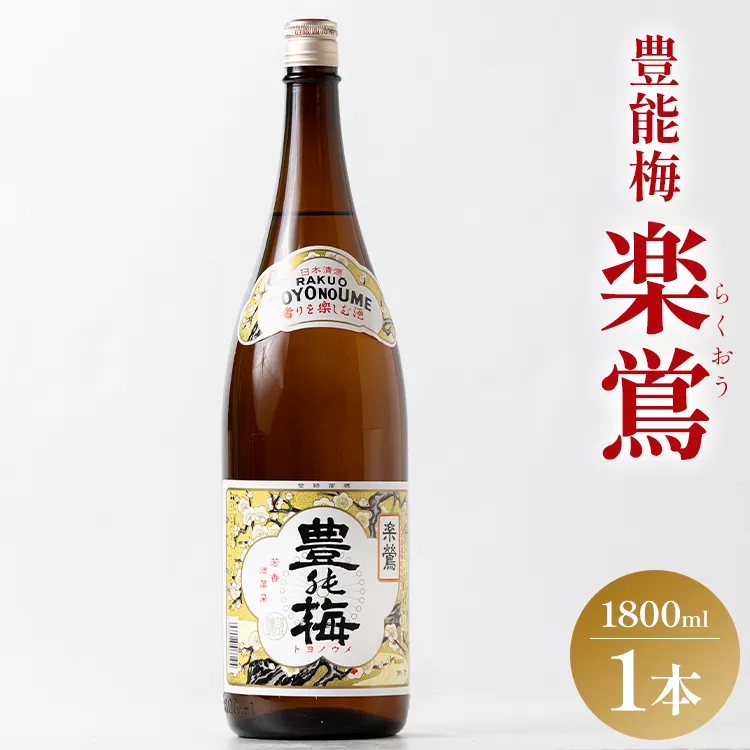 日本酒 土佐いごっそう「どろめ祭り」で大杯に注がれる一升酒 豊能梅 楽鴬 らくおう 1800ml×1本 - お酒 一升瓶 15度 1.8L 淡麗辛口酒 地酒 冷酒 燗酒