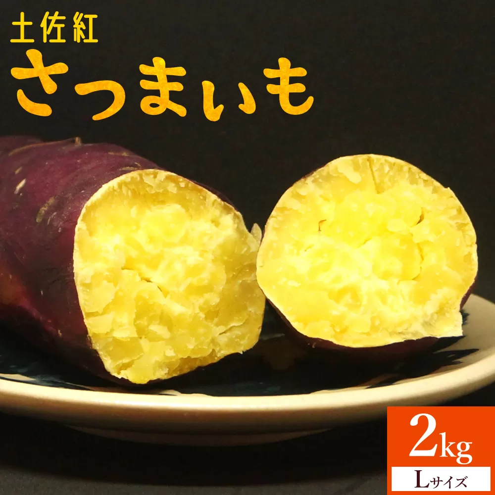 さつまいも(土佐紅) Lサイズ 2kg- サツマイモ さつま芋 野菜 焼き芋 やきいも 焼いも 蒸し芋 おやつ スイーツ スイートポテト 国産 アスタ農園 高知県 香南市【常温】 at-0004