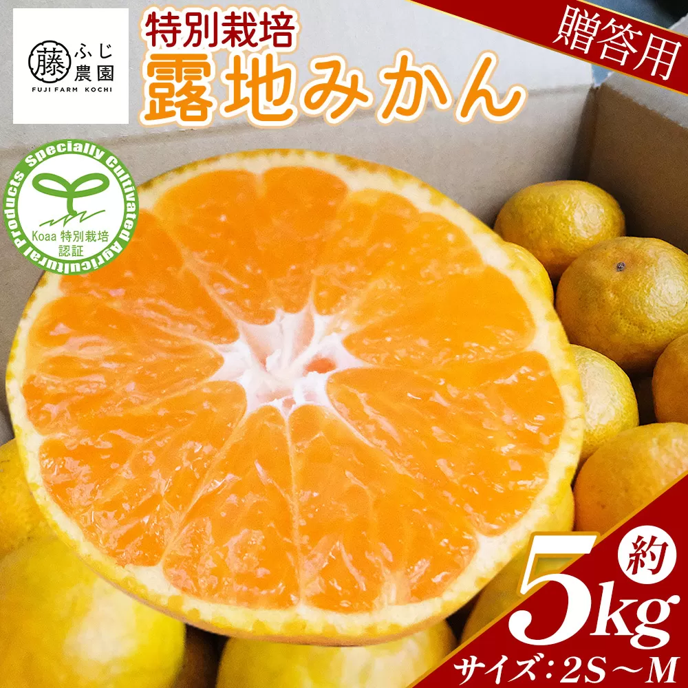 ふじ農園の露地みかん 贈答用 5kg (2S〜M) - 国産 蜜柑 ミカン 柑橘 果物 フルーツ 贈答 プレゼント ギフト 贈り物 ふじ農園 高知県 香南市 常温 fn-0002