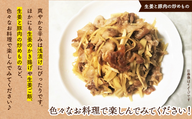 しょうが | 高知野菜・果物のお取り寄せなら通販ショップ「とさ