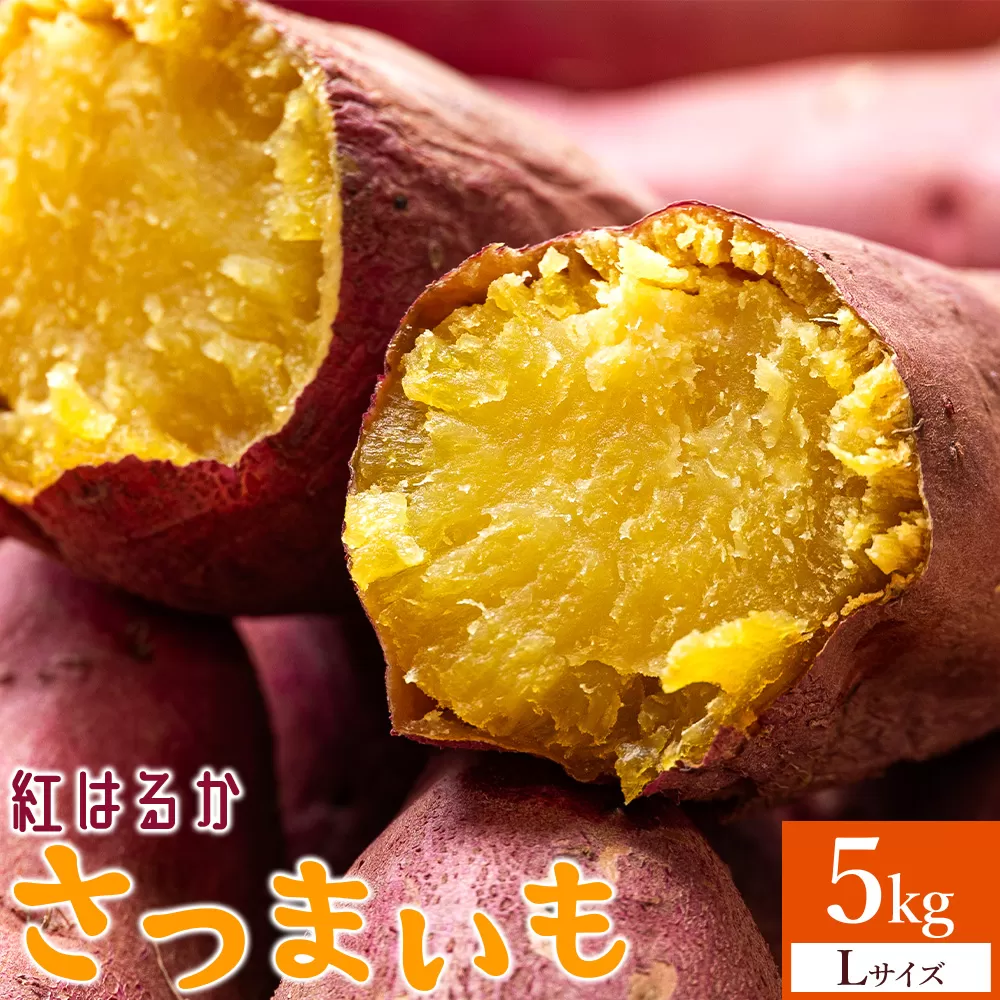 さつまいも(紅はるか) Lサイズ 5kg- サツマイモ さつま芋 野菜 焼き芋 やきいも 焼いも 蒸し芋 おやつ スイーツ スイートポテト 国産 アスタ農園 高知県 香南市【常温】 at-0011
