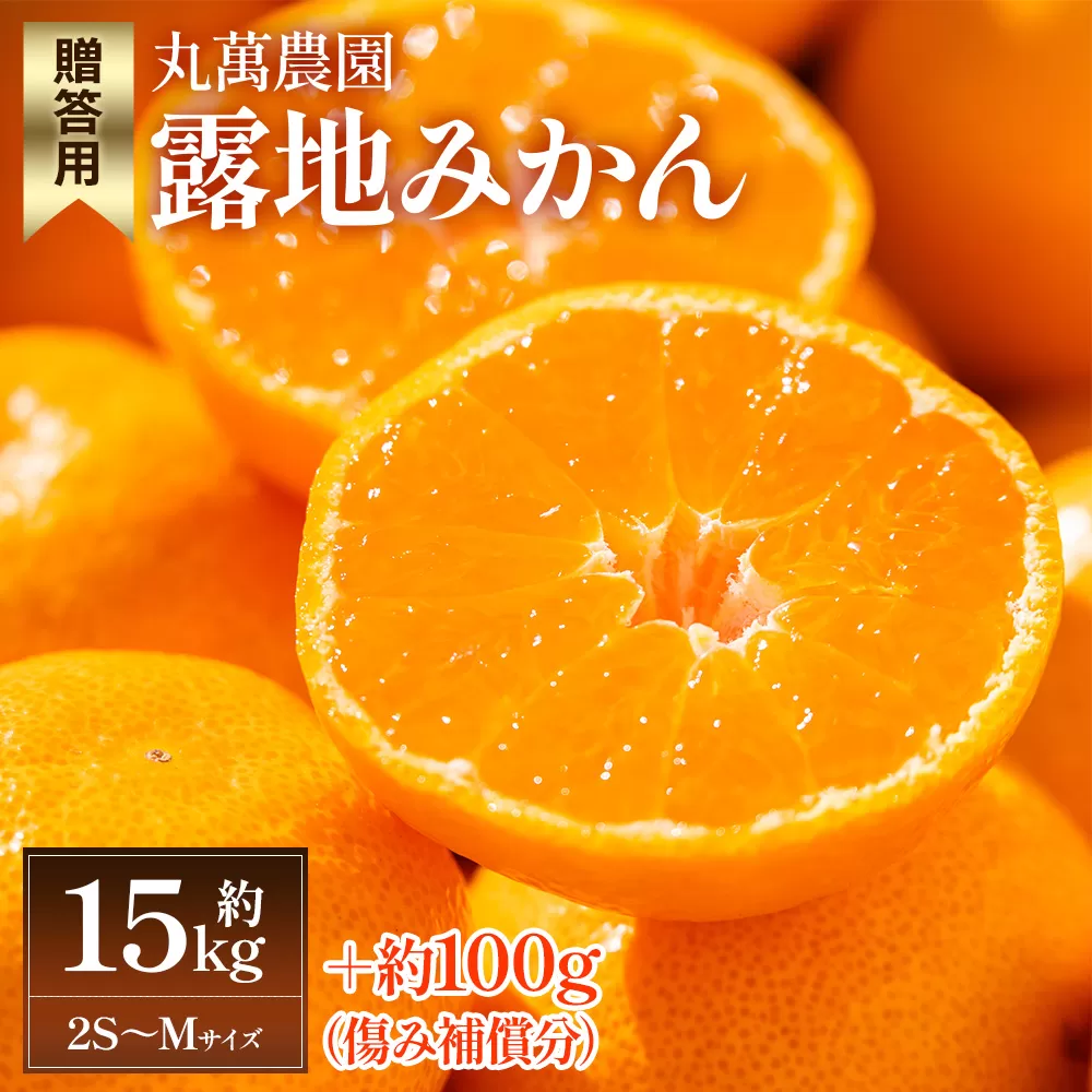 【2025年出荷分】露地みかん(2S～Mサイズ) 15kg 贈答用 丸萬農園 - 果物 くだもの フルーツ 果実 柑橘 かんきつ 蜜柑 みかん ミカン 期間限定 ギフト 贈り物 プレゼント お祝い 感謝 お礼 高知県 香南市 常温 mn-0003