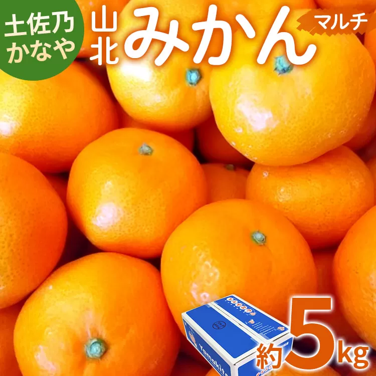[数量限定]土佐乃かなや マルチ 山北みかん 約5kg - 送料無料 フルーツ 果物 温州みかん ミカン 柑橘 甘い おいしい 旬 季節限定 かなや農園 5キロ うんしゅう あまい オレンジ 柑橘類 柑橘 系 果実 美味しい おいしい ジューシー 果汁 みずみずしい お取り寄せ おとりよせ おすそわけ ジャム ジュース フレッシュ 濃厚 のうこう 高知県 香南市 常温